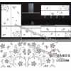 水轉(zhuǎn)印，家具水轉(zhuǎn)印，家具水移畫